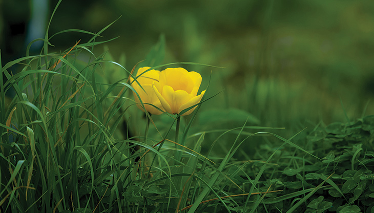 Office desks with computers