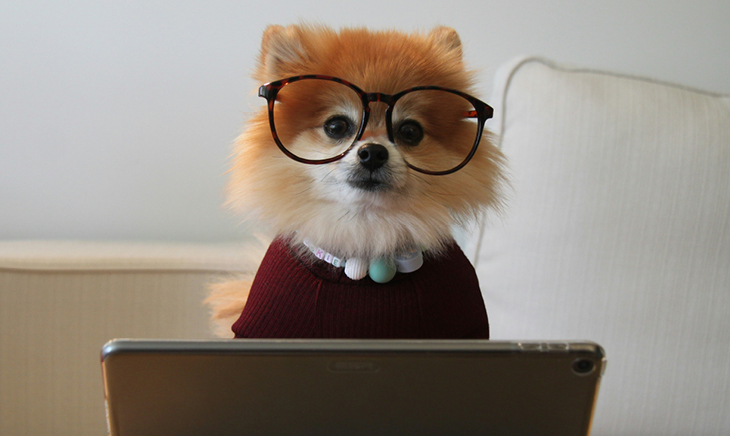 Office desks with computers
